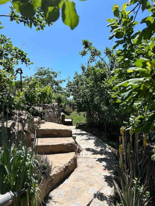 Lilly'S Finca - Romantischter Rueckzugsort - Pool Vilaflor Exterior foto