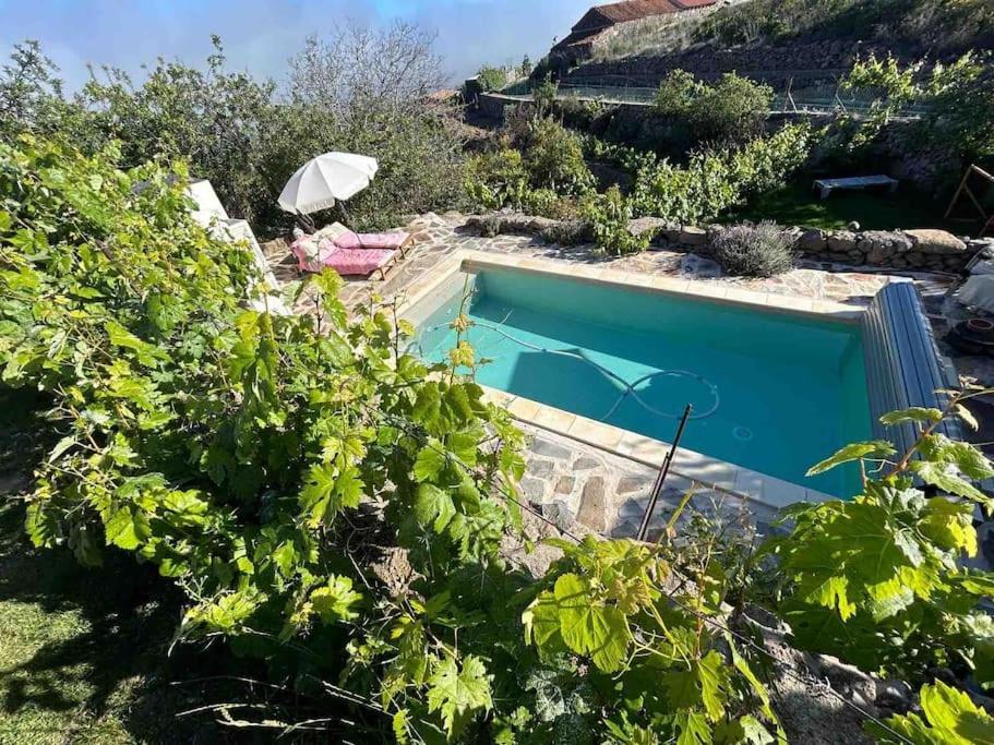 Lilly'S Finca - Romantischter Rueckzugsort - Pool Vilaflor Exterior foto
