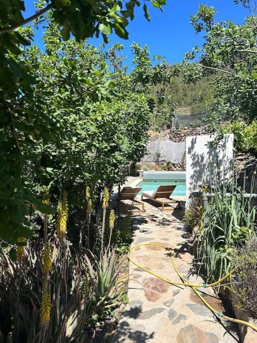 Lilly'S Finca - Romantischter Rueckzugsort - Pool Vilaflor Exterior foto