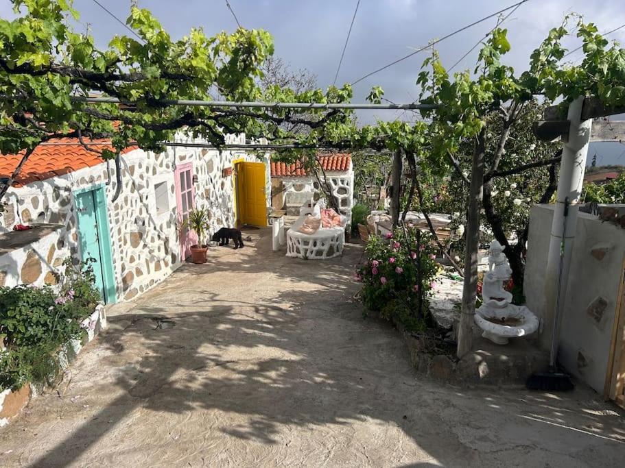 Lilly'S Finca - Romantischter Rueckzugsort - Pool Vilaflor Exterior foto